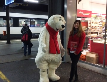 Eisbärenpromotion Coca-Cola